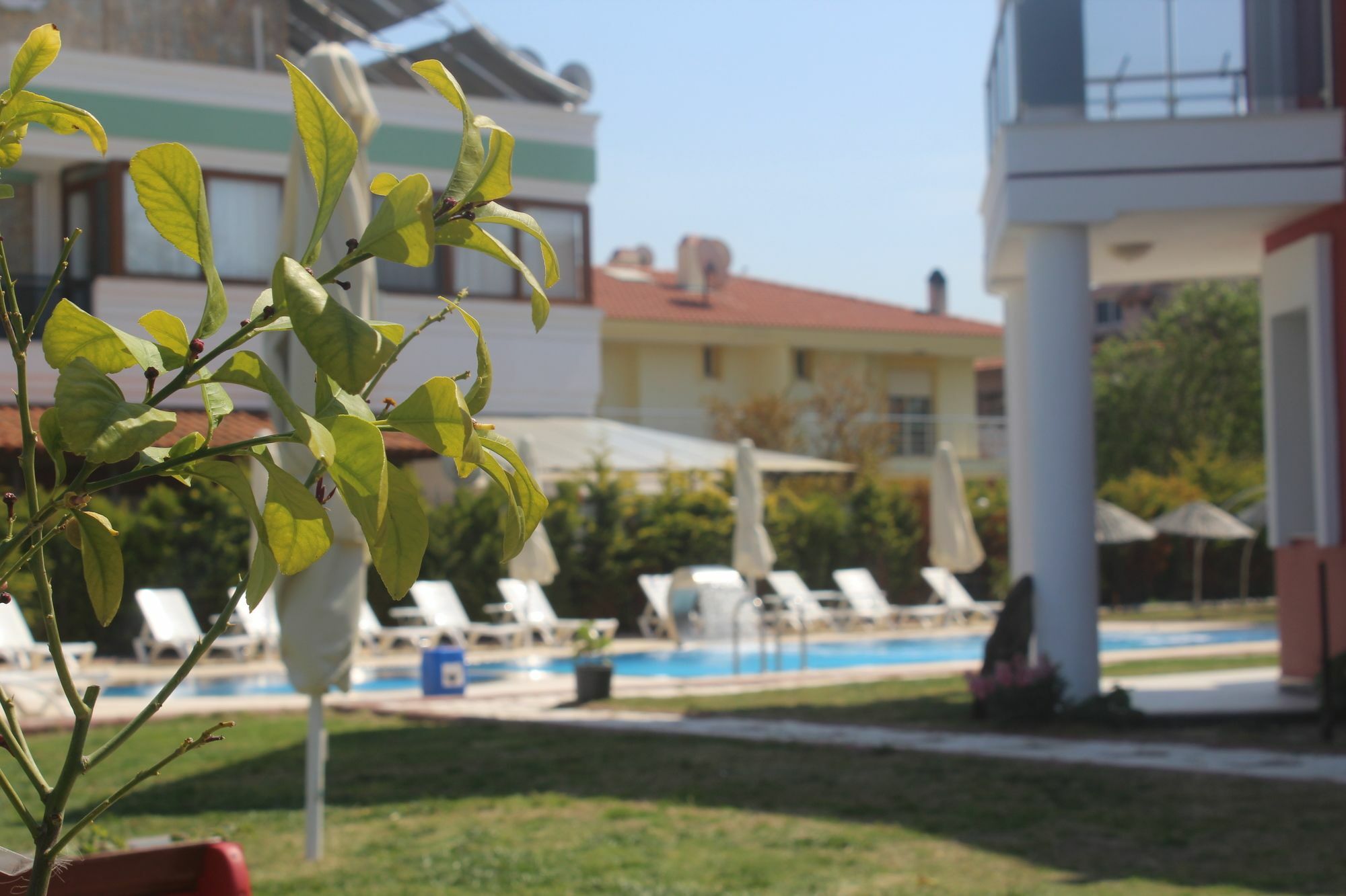 Cilek Butik Hotel Çeşme エクステリア 写真